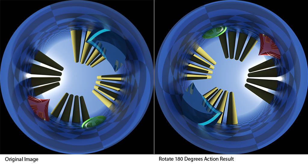 Rotate-180-Degrees-Action.jpg