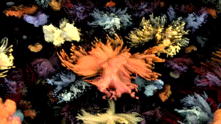 TasteOfNoise7GifAnim