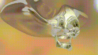 DullSkullReflected