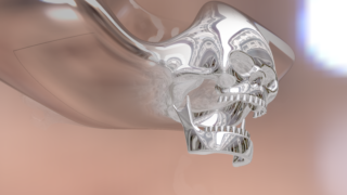 DullSkullReflected Thumbnail
